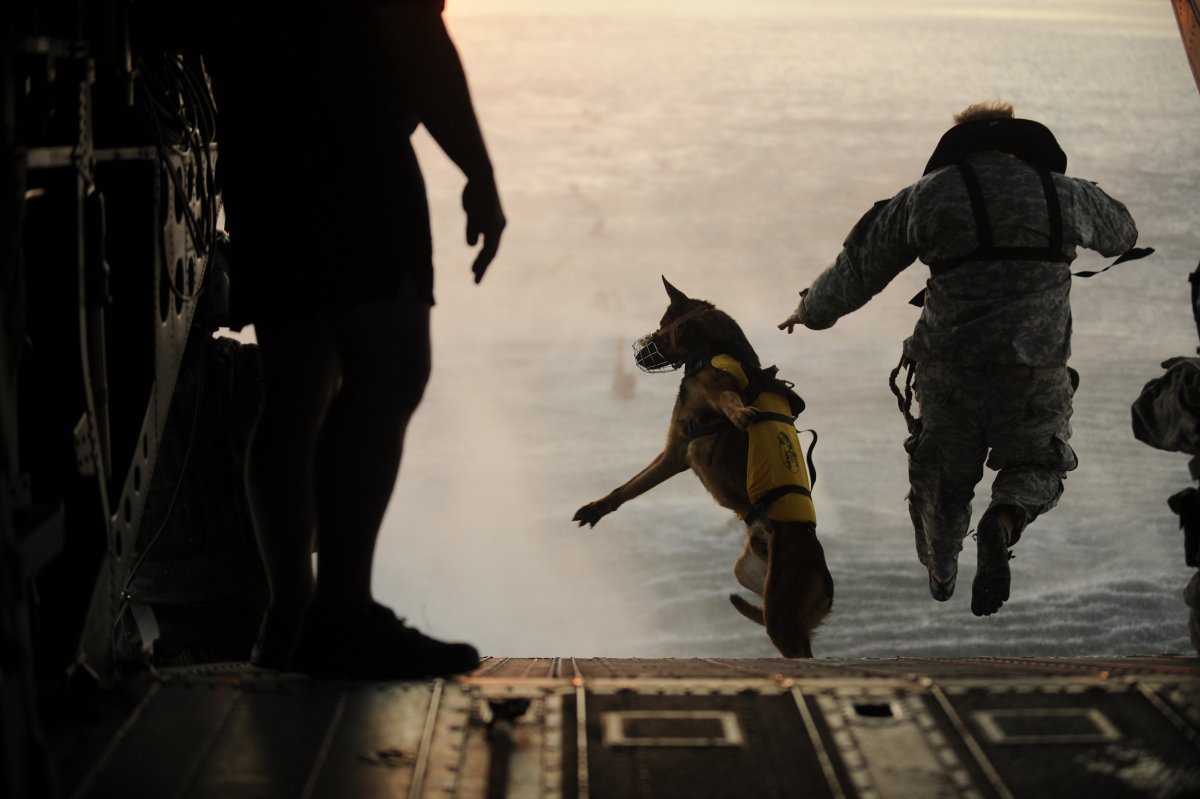 here-a-us-soldier-in-the-10th-special-forces-group-jumps-off-the-ramp-of-a-chinook-helicopter-with-his-military-working-dog-during-an-exercise